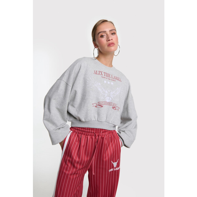 Alix The Label Eagel sweater melee 4209.87.0006 large