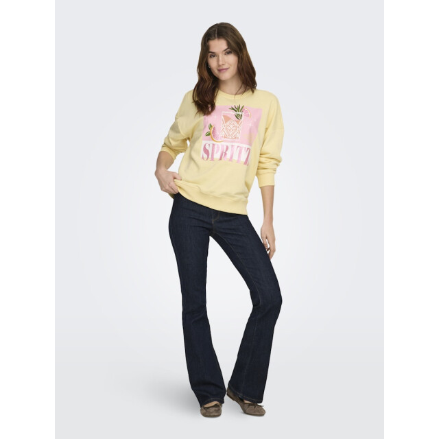 Only Onlkita ls sweat box ub cs swt licht 4209.11.0003 large