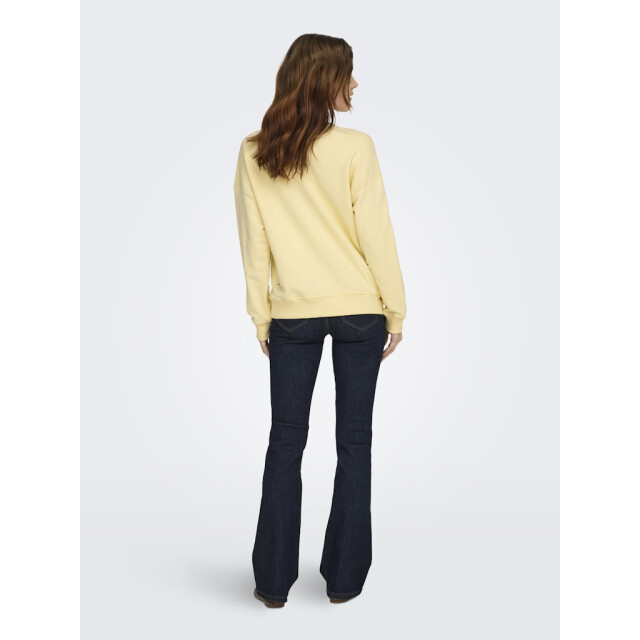 Only Onlkita ls sweat box ub cs swt licht 4209.11.0003 large