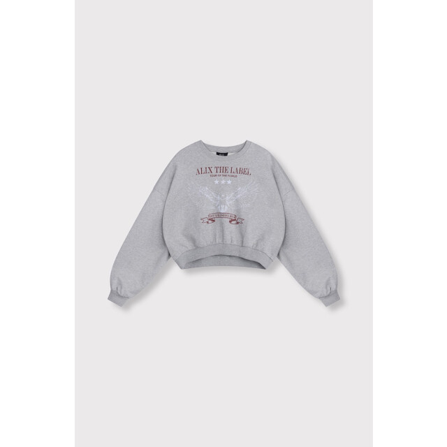 Alix The Label Eagel sweater melee 4209.87.0006 large