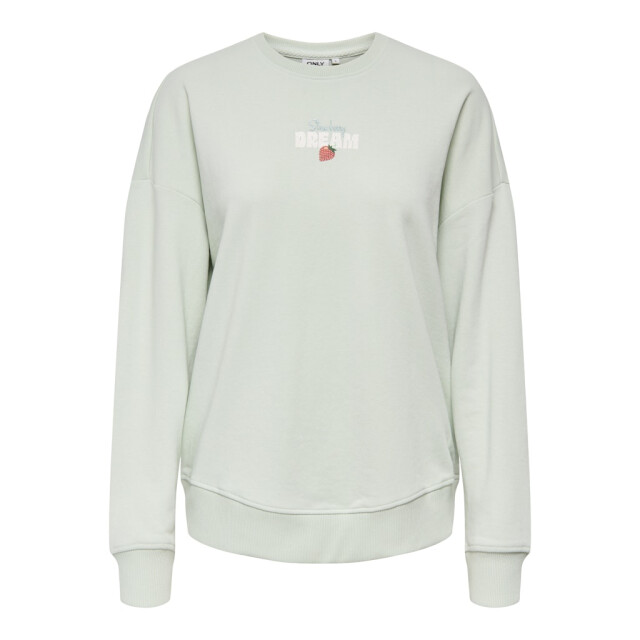 Only Onlkita ls sweat box ub cs swt mint 4209.21.0002 large