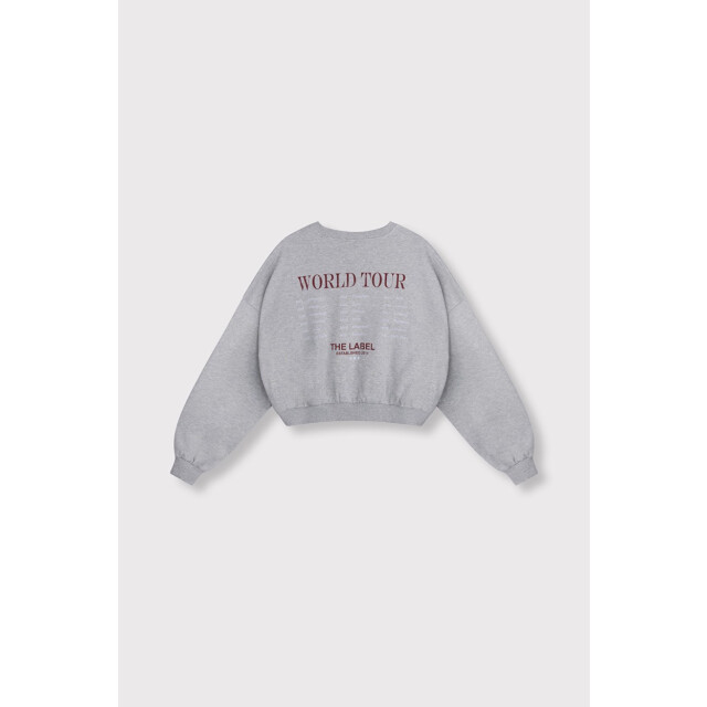 Alix The Label Eagel sweater melee 4209.87.0006 large