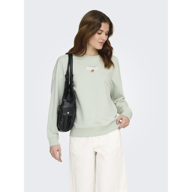 Only Onlkita ls sweat box ub cs swt mint 4209.21.0002 large