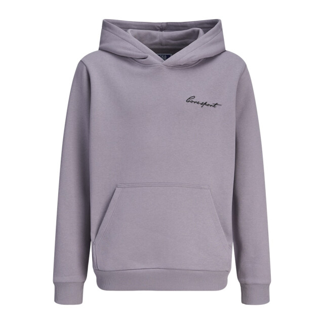 Jack & Jones Jcodust script sweat hood sa26 jnr mauve 3209.57.0001 large