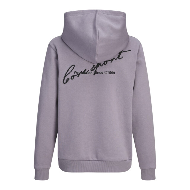 Jack & Jones Jcodust script sweat hood sa26 jnr mauve 3209.57.0001 large