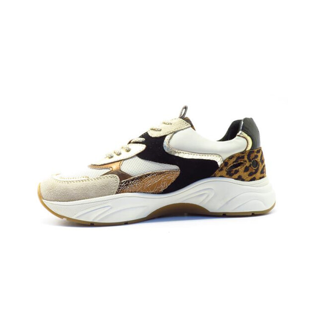 PS Poelman Lpiva-38poe1 LPIVA-38POE1 large