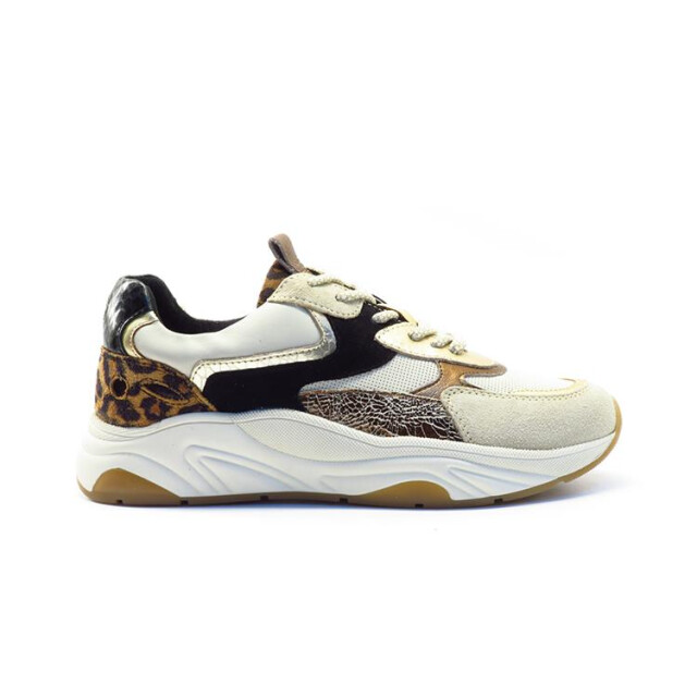 PS Poelman Lpiva-38poe1 LPIVA-38POE1 large