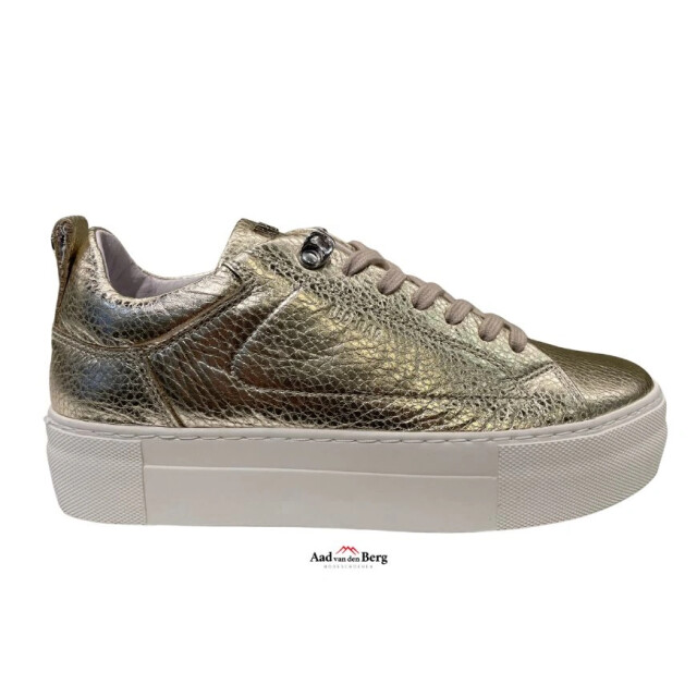 Red Rag 74402 Sneakers Goud 74402 large