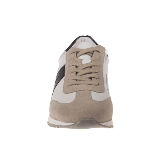 Ara 11-26904 gino 11-26904 Gino large