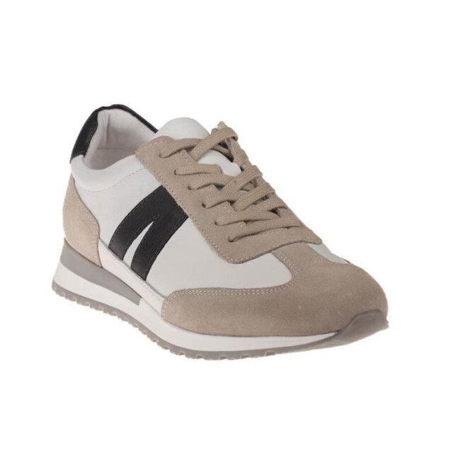 Ara 11-26904 gino 11-26904 Gino large