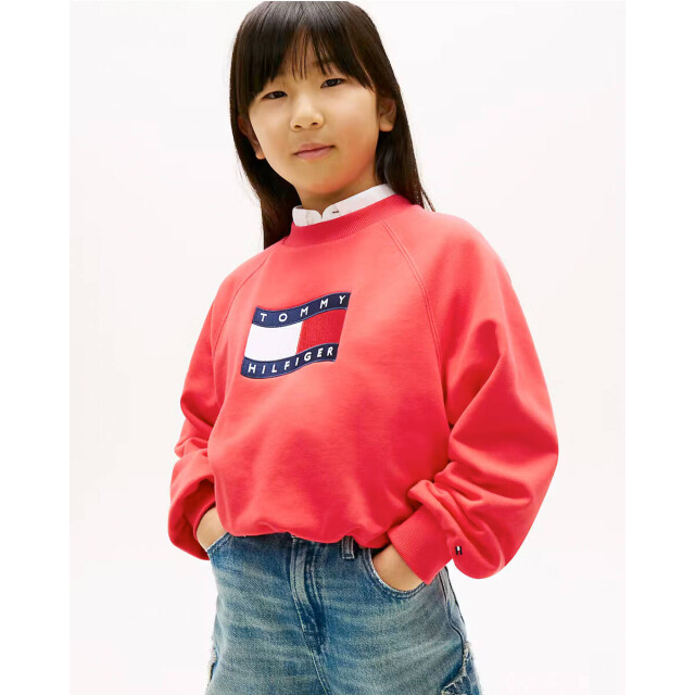 Tommy Hilfiger Sweat kg0kg09236 Tommy Hilfiger Sweat KG0KG09236 large