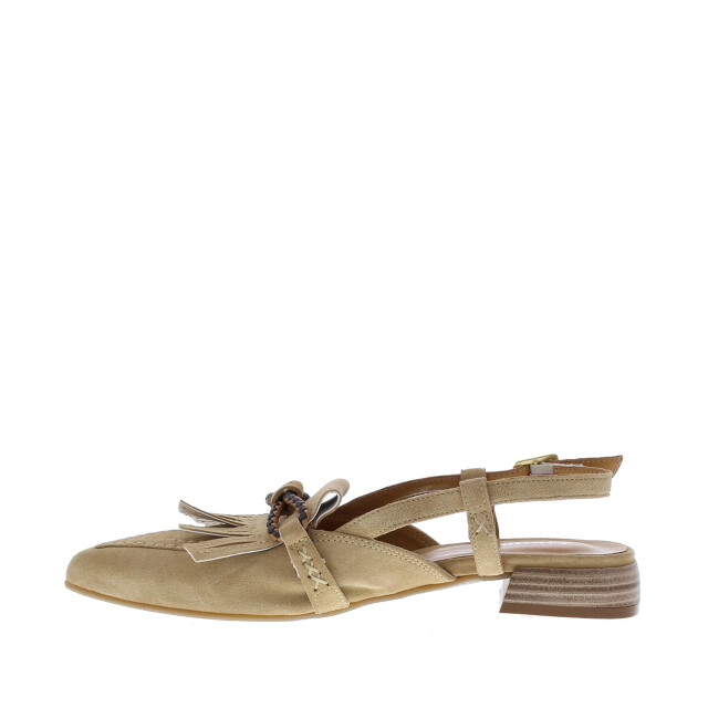 Gioia 2611202 | maat: | kleur: | dames open-pumps | materiaal: suède 110992 large