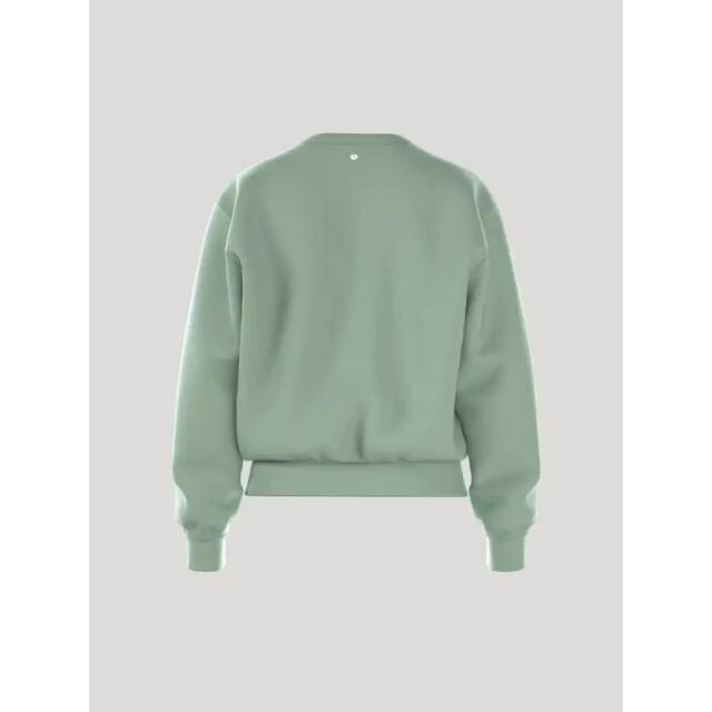 Björn Borg dames essential 3 sweatshirt - maat s 10004002-GN221 large