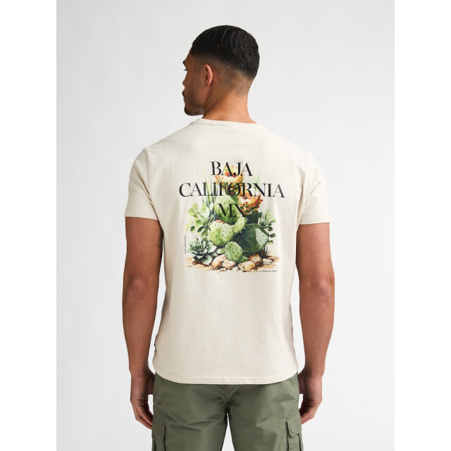 Petrol Industries Men t-shirt ss beige 5339.05.0038 large