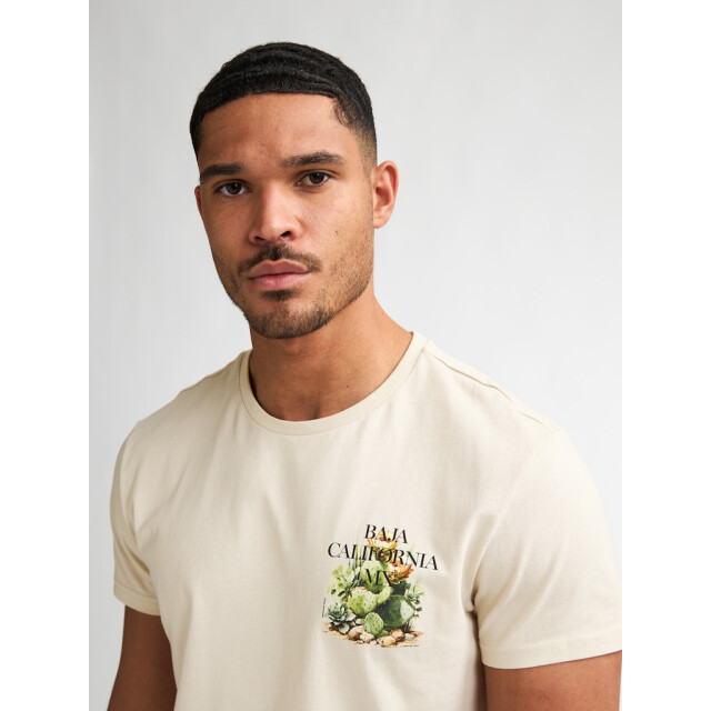 Petrol Industries Men t-shirt ss beige 5339.05.0038 large