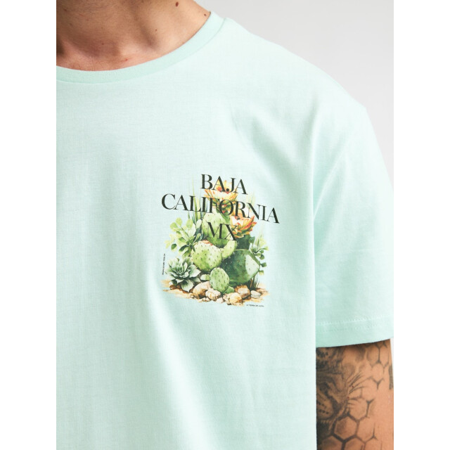 Petrol Industries Men t-shirt ss mint 5339.21.0019 large