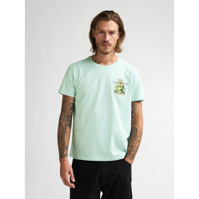 Petrol Industries Men t-shirt ss mint 5339.21.0019 large