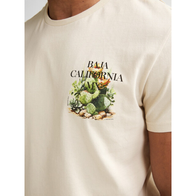 Petrol Industries Men t-shirt ss beige 5339.05.0038 large