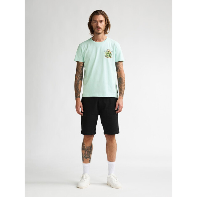 Petrol Industries Men t-shirt ss mint 5339.21.0019 large