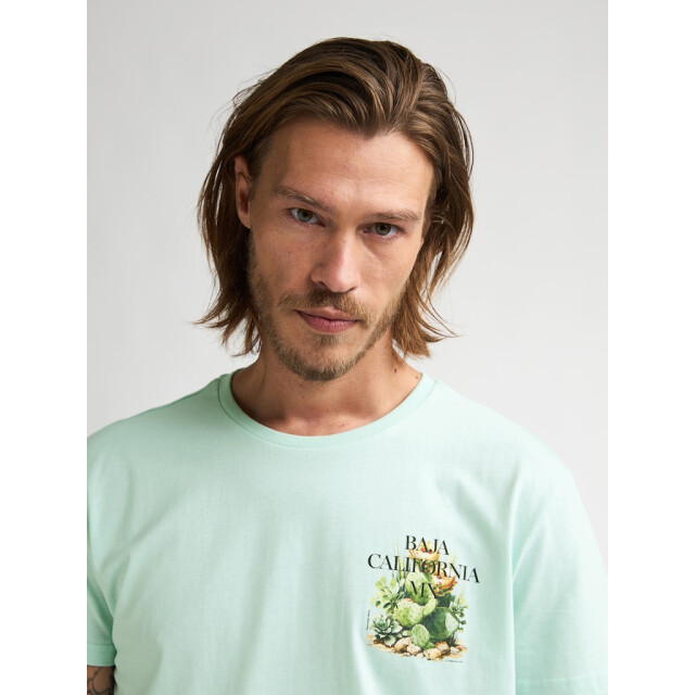 Petrol Industries Men t-shirt ss mint 5339.21.0019 large