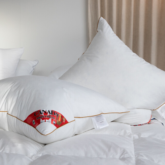 Fabiola Canada stevig veren hoofdkussen set van 2 stuks downpass gecertficeerde 3060083 large