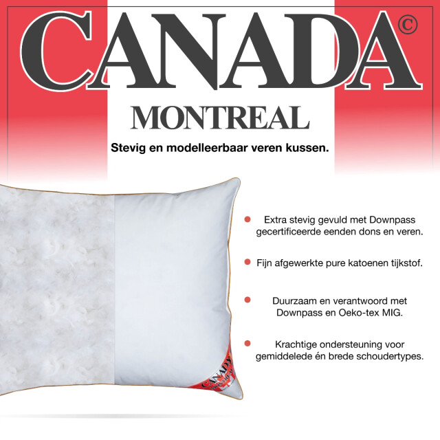 Fabiola Canada stevig veren hoofdkussen set van 2 stuks downpass gecertficeerde 3060083 large