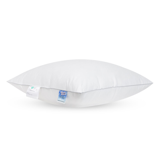 Fabiola Dormi medium veren hoofdkussen set van 2 stuks downpass 3060081 large