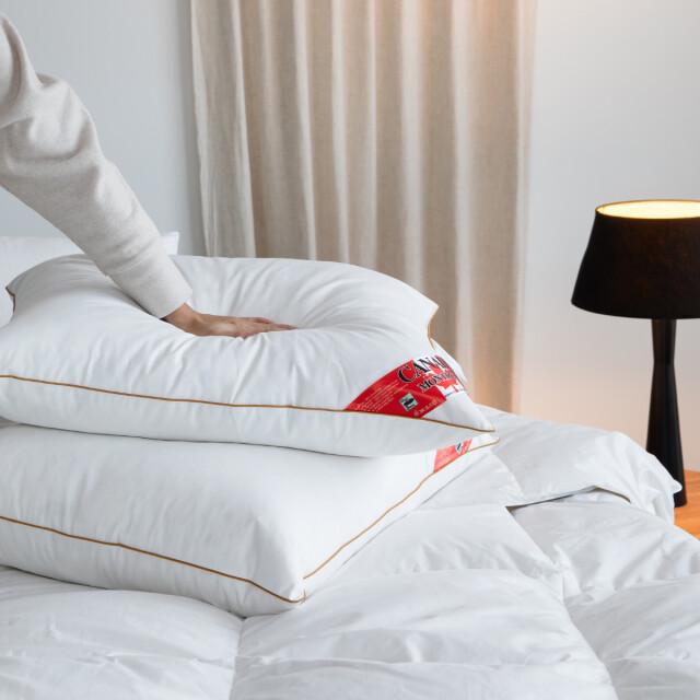 Fabiola Canada stevig veren hoofdkussen set van 2 stuks downpass gecertficeerde 3060083 large