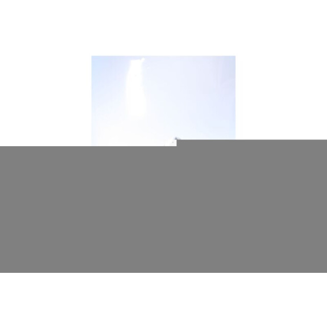 Greve 2223 wave rf.04 sneakers 222304 large