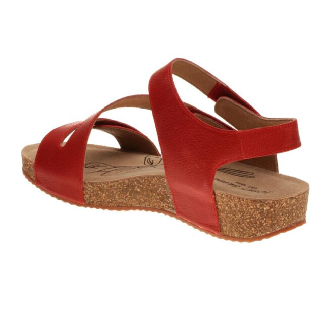 Josef Seibel Tonga 25 Tonga 25   78519128 large