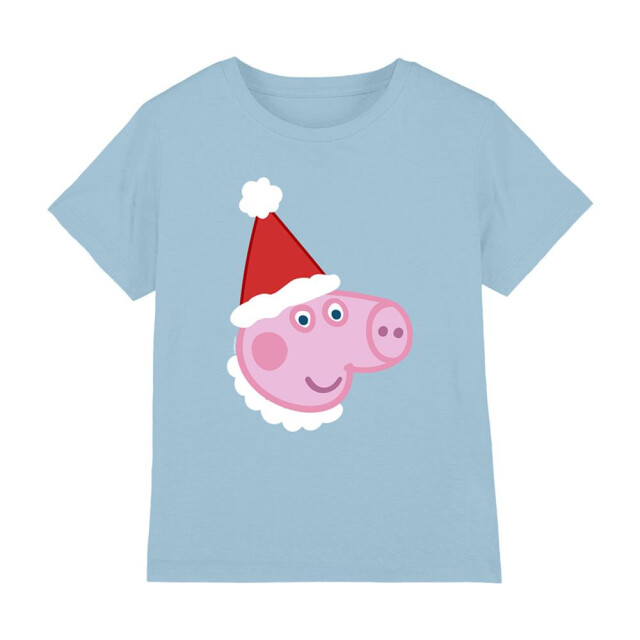 Peppa Pig Kinderen/kinderen george varken kerstmuts t-shirt UTTV26576_lightblue large