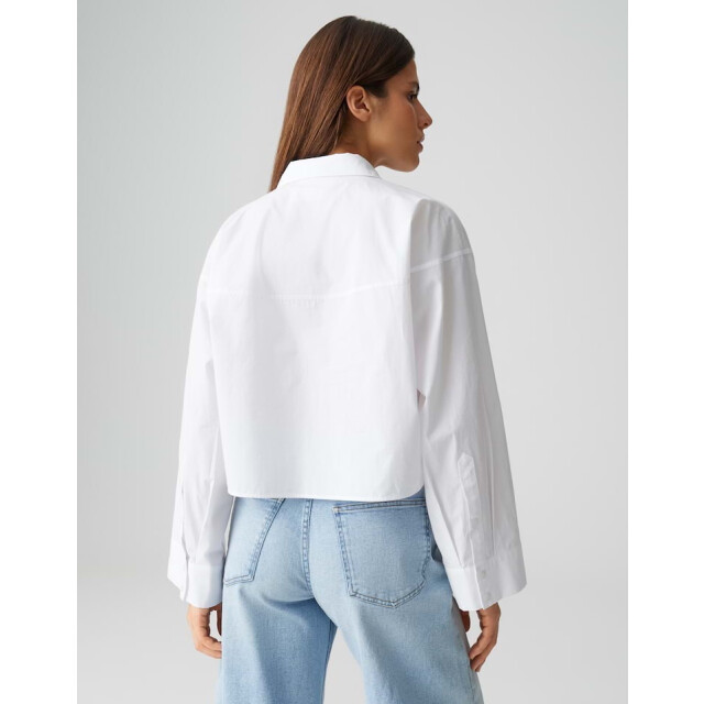 Opus Fazira 10538312650 - 4309.01.0019 large