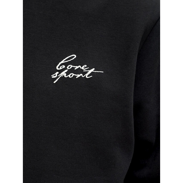 Jack & Jones Jcodust script sweat crew neck - 5209.80.0031 large