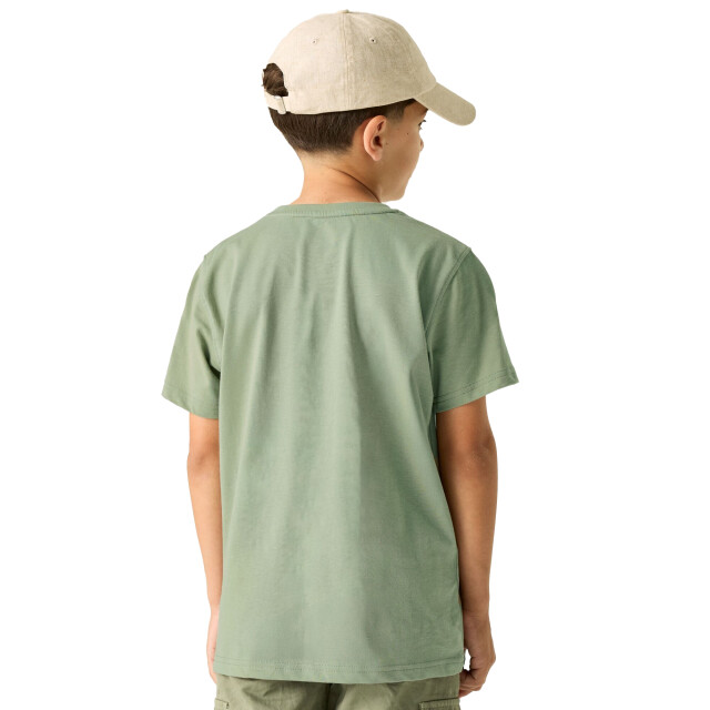 Regatta Kinderen/kinderen bosley sunset t-shirt UTRG12861_sagegreen large