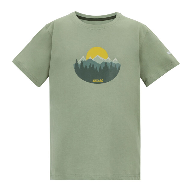 Regatta Kinderen/kinderen bosley sunset t-shirt UTRG12861_sagegreen large