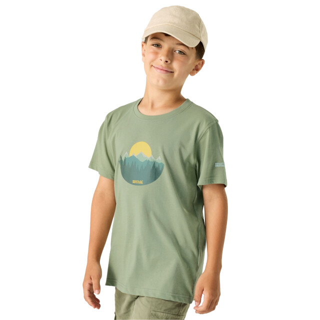 Regatta Kinderen/kinderen bosley sunset t-shirt UTRG12861_sagegreen large