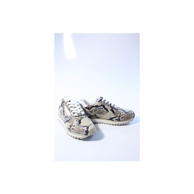 Hassia 30203 porto sneakers 302037 large