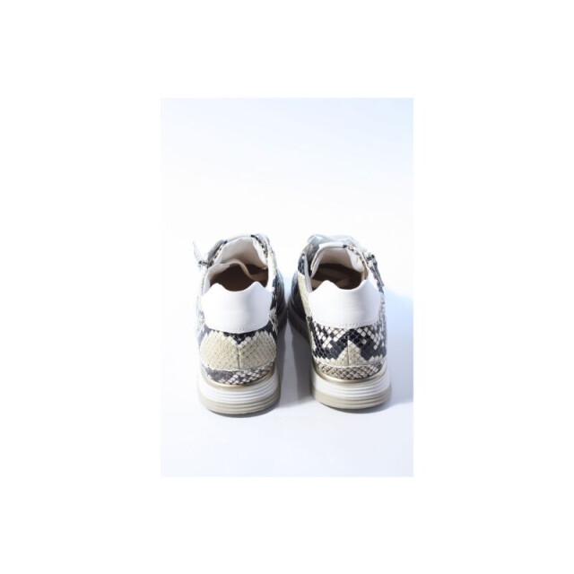 Hassia 30203 porto sneakers 302037 large