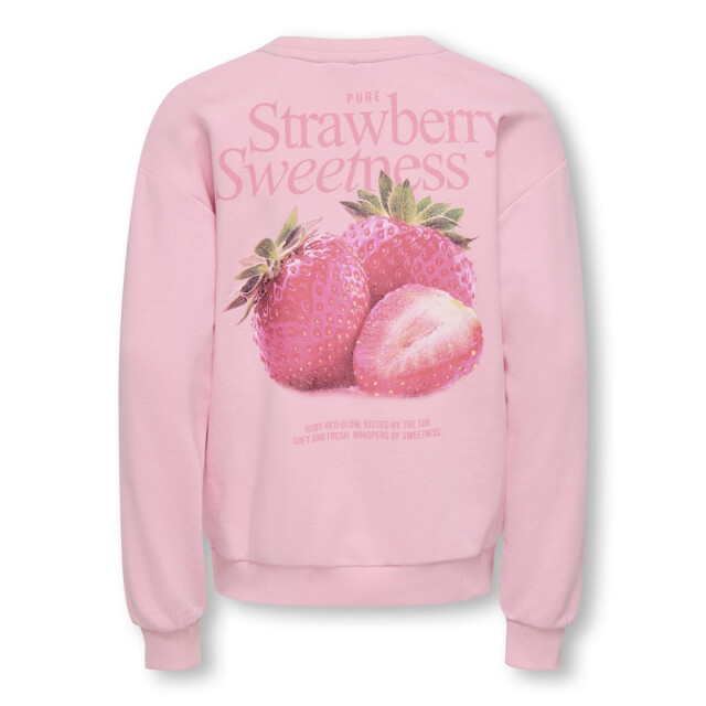 Only Kogphilea life ls loose sweater licht 2209.61.0004 large