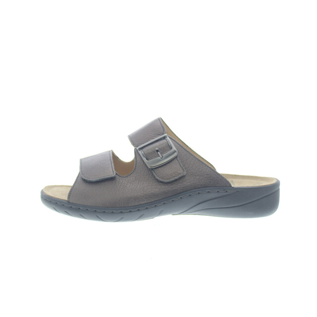 Solidus Wellness special 20187-30519 large