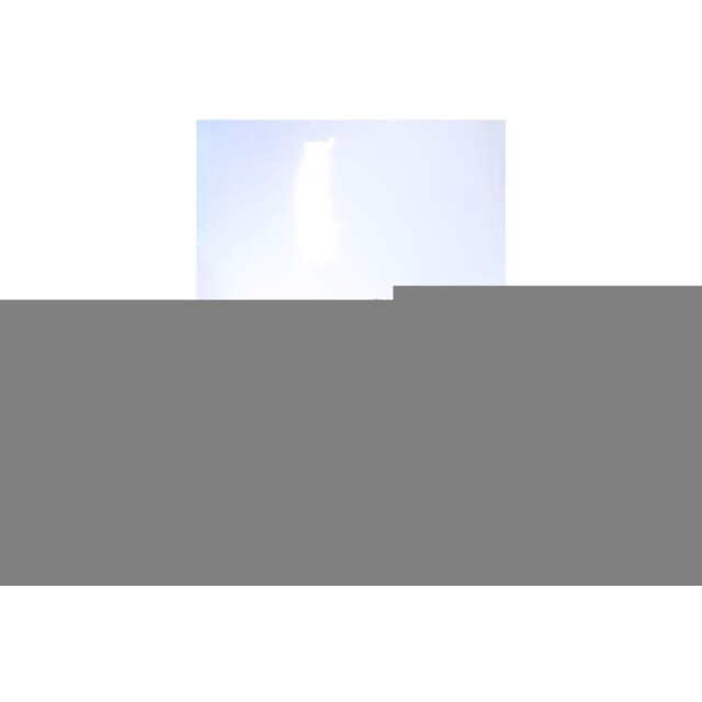 Australian Footwear Hawker sneakers  large