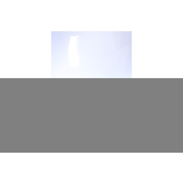 Australian Footwear Hawker sneakers  large