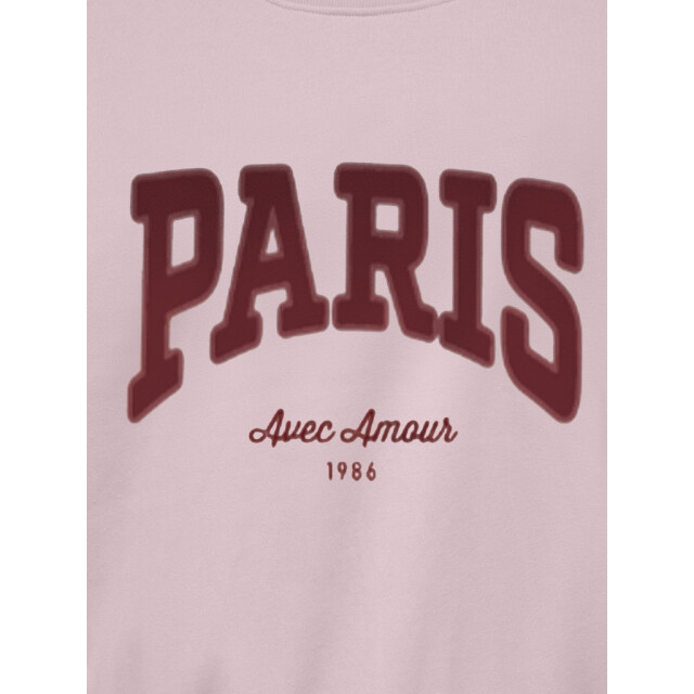 Jacqueline de Yong Jdymesa life ls o-nk emb sweat jrs noos fuchsia 4209.56.0012 large