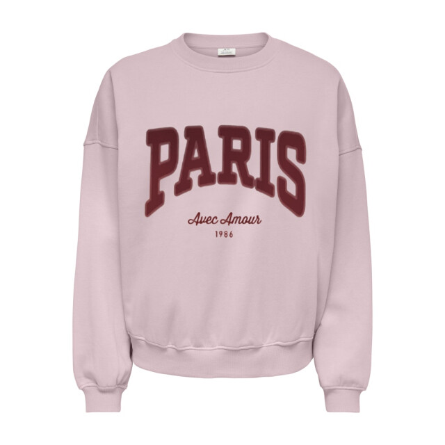 Jacqueline de Yong Jdymesa life ls o-nk emb sweat jrs noos fuchsia 4209.56.0012 large