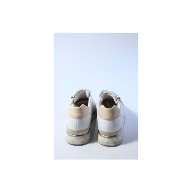 Hassia 302038 porto sneakers 302038 large