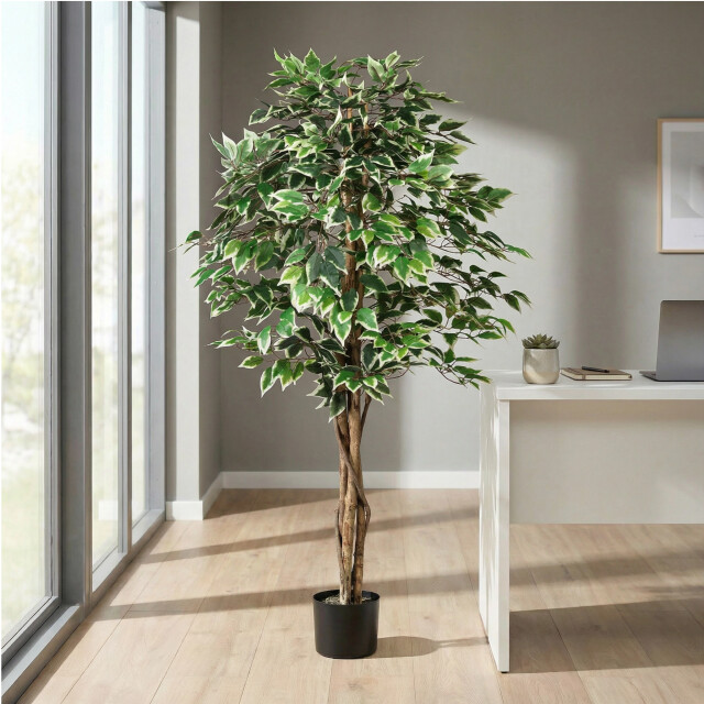 Kopu ® kunstplant ficus 150 cm 840 /witte bladeren natuurstam 2757596 large