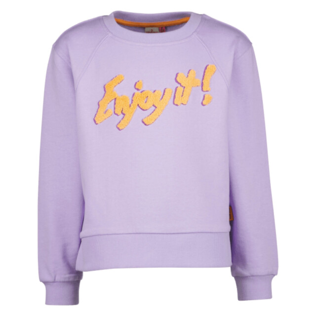Vingino SS23KGN34004 Sweaters Lila SS23KGN34004 large