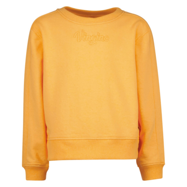 Vingino 2333.44.0001-44 Sweaters Oranje 2333.44.0001-44 large