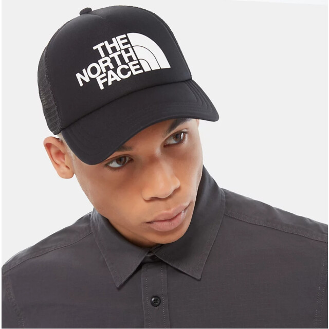 The North Face Skate cap NF0A3FM3KY41 large