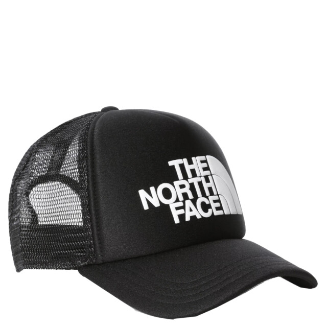 The North Face Skate cap NF0A3FM3KY41 large